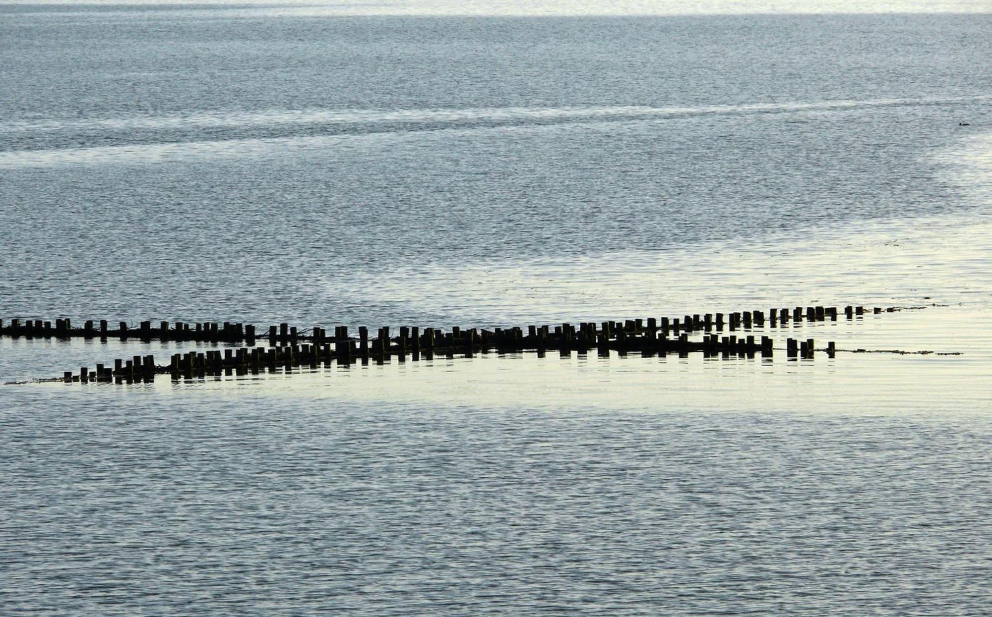 Dagebüll Haus Halligblick, Ferienwohnungen Am Wattenmeer, Whg Langenness מראה חיצוני תמונה